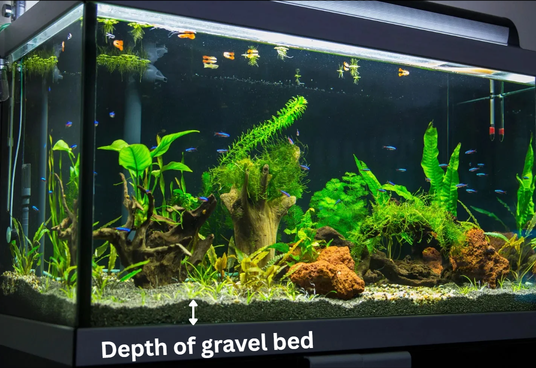 Aquarium gravel bed illustration